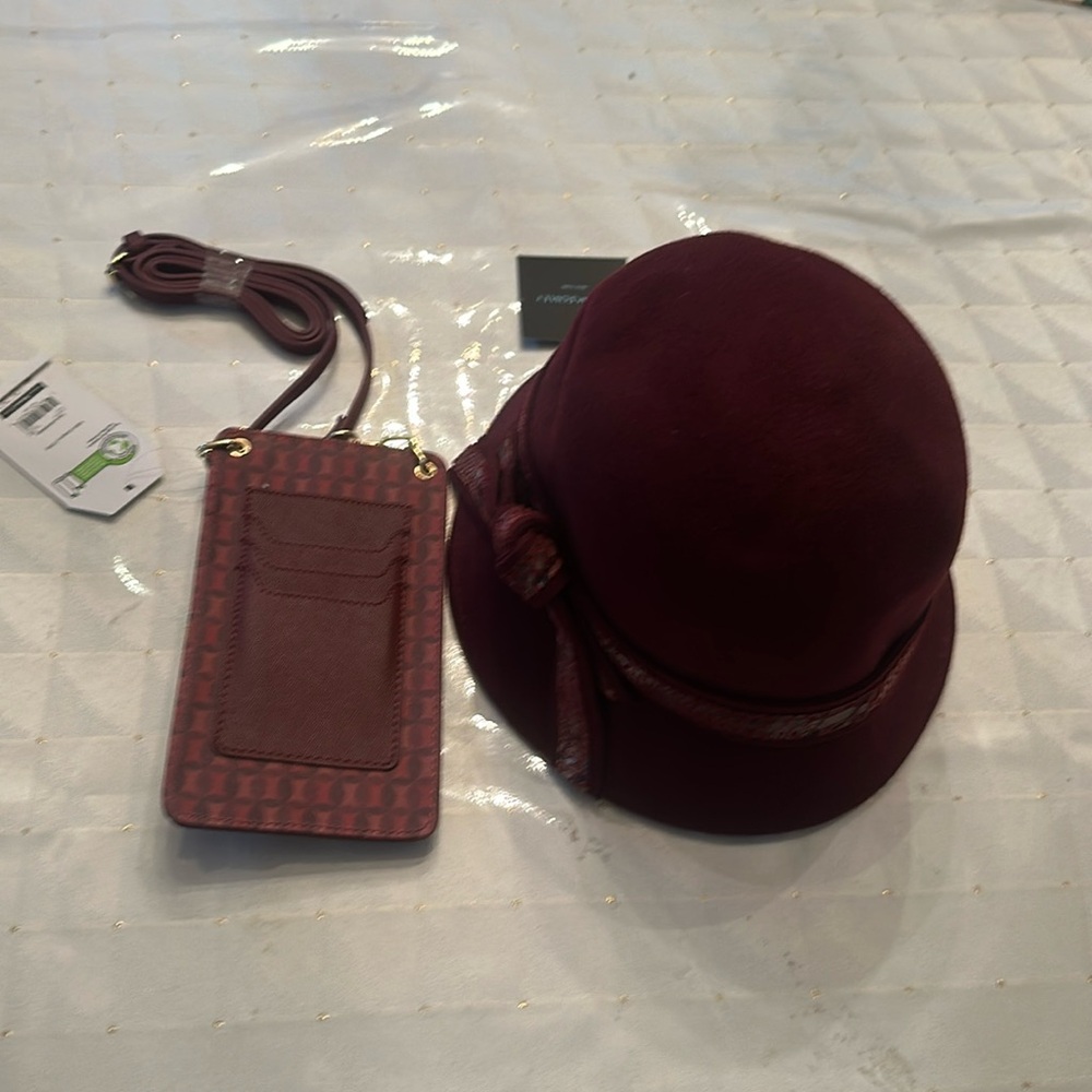 New Cynthia Rowley hat & Time and Tru crossbody